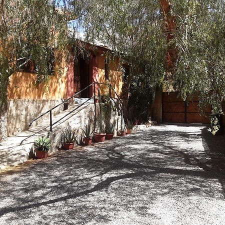 לינה וארוחת בוקר Casa Gabriela, Monte Grande ,Valle De Elqui מראה חיצוני תמונה