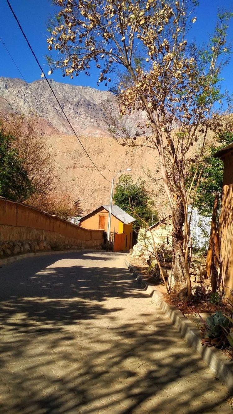 לינה וארוחת בוקר Casa Gabriela, Monte Grande ,Valle De Elqui מראה חיצוני תמונה