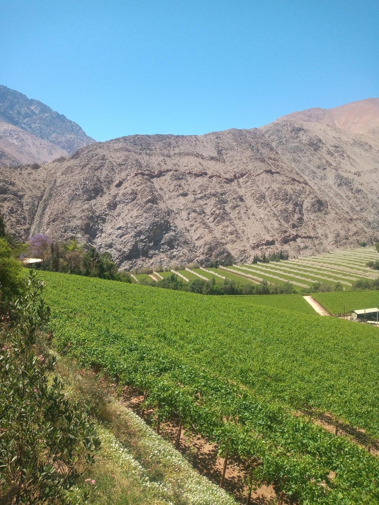 לינה וארוחת בוקר Casa Gabriela, Monte Grande ,Valle De Elqui מראה חיצוני תמונה