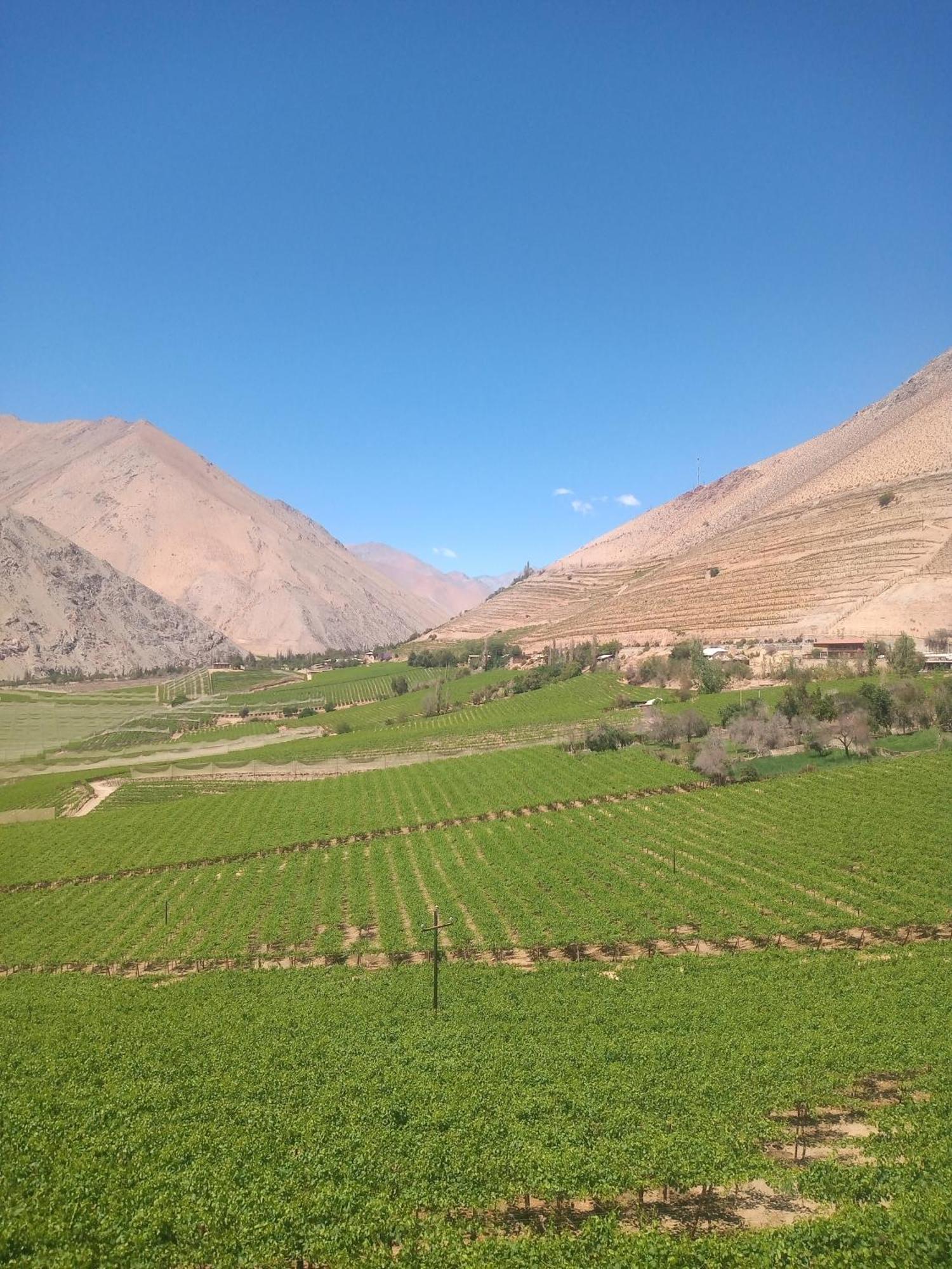 לינה וארוחת בוקר Casa Gabriela, Monte Grande ,Valle De Elqui מראה חיצוני תמונה